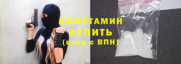 амф Верхний Тагил